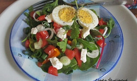 Rychlý dietní salát