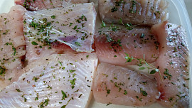 Kapr na tymiánu v sýrovém těstíčku