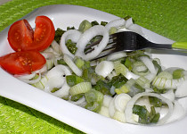 Cibulový salát