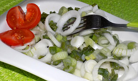 Cibulový salát