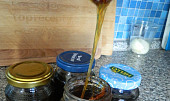 Rýmovníkový med