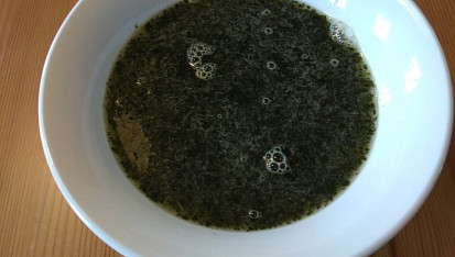 Sirup z fíkových listů, rozmixované