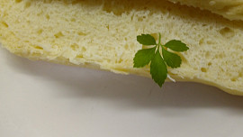 Máslové rovné rohlíky