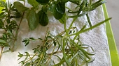 Aromatická krkovička