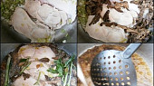 Kuřecí na lahůdkové cibulce a sušených houbách