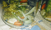 Rychlokvašky pro dědu, Na dno sklenice se dává cibule, mrkev, křen, kopr a kousek celerového listu.  Koření dávám vařit do nálevu.