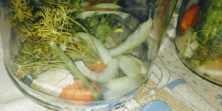 Na dno sklenice se dává cibule, mrkev, křen, kopr a kousek celerového listu.  Koření dávám vařit do nálevu.