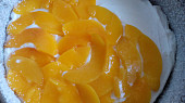 Ovocný piškotový dort se smetanovo-tvarohovým krémem