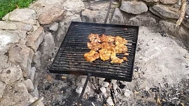 Grippen křídla