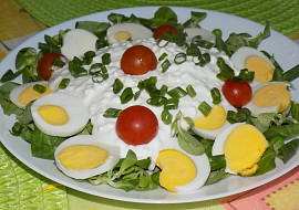 Vajíčkový salát s cottage a polníčkem