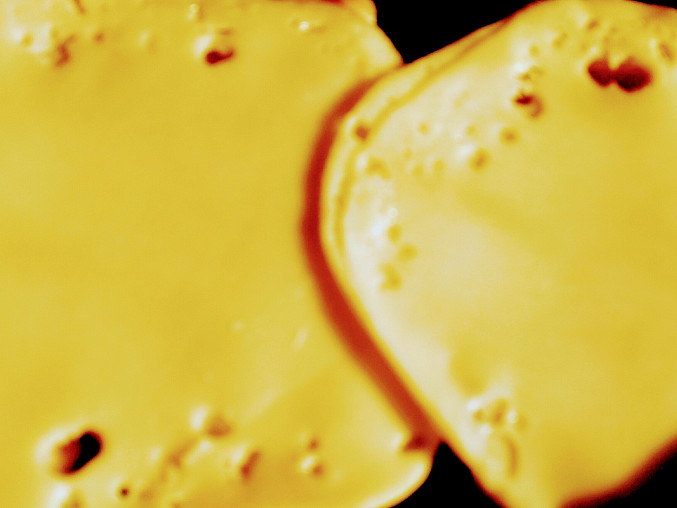 Křehké kotlety, Načesnekované maso schované pod dvojitým plátkem sýru před pečením. 