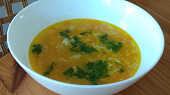Polévka z mrkvy (Horňácko)