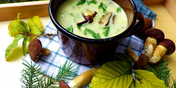 Bílá houbová polévka s pórkem a bramborem
