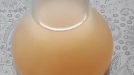 Jablečný ocet