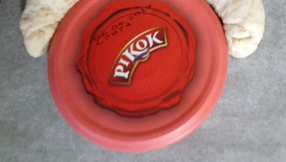 Újezdecké rohlíky