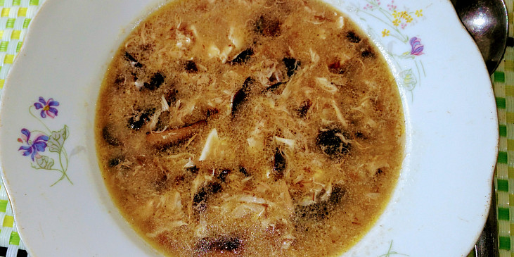 Polévka rychlovka z čerstvých hub