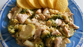 Kuřecí nudličky na česneku a smetaně s brokolicí + knedlík mléčný  (Dělená strava podle LK - zvířata