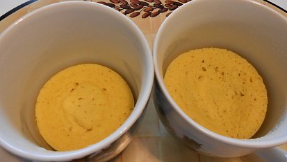 Tiramisu dezertík (Dělená strava podle LK - zvířata), po vyndání z trouby