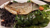 Filet ze pstruha na listovém salátu, Filet ze pstruha na listovém salátu