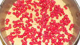 Nepečený jogurtový dort