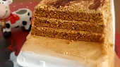 Jemné mocca řezy, Katiko