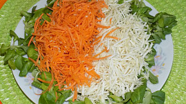 Tříbarevný salát