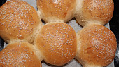Housky na hamburger