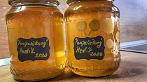 Jarní pampeliškový med