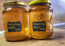Jarní pampeliškový med
