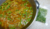Kuřecí polévka po asijsku