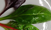 Penne Jamon Serano Rojo Verde se salátem s červenou cibulí a kapary (mix salátů)