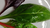 Penne Jamon Serano Rojo Verde se salátem s červenou cibulí a kapary, mix salátů