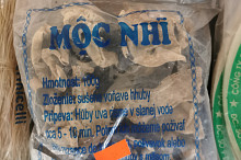 Houby (Jidášovo ucho)