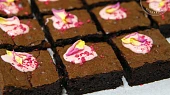 Poctivé brownies, poctive brownie