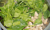 Těstoviny s listovým špenátem, kuřecím masem a sýrem