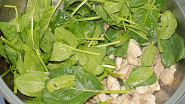 Těstoviny s listovým špenátem, kuřecím masem a sýrem