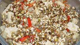 Výhonková pánev (mungo klíčky)