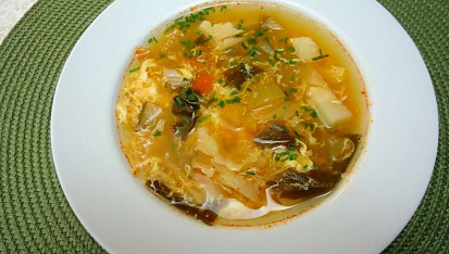 Zbytková polévka