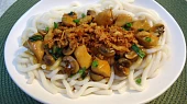 Hoisin kuřecí s udon nudlemi