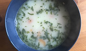 Polévka z ovesných vloček a zeleniny