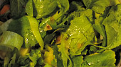 Zeleninová polévka s ředkvičkovými listy a žervé, ...přidáme ředkvičkové listy v top stavu...