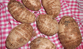 Kaše z kořene taro  (Dělená strava podle LK - Kytičky)