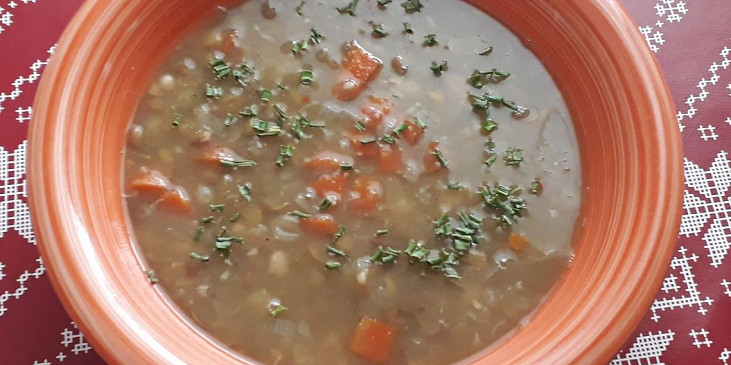 Lušteninová vegetariánská polévka (Luštěninová polévka)