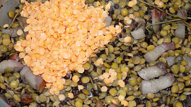 Salát tří čoček