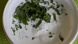 Domácí lučina s medvědím česnekem