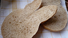 Housky - zajíčci Housky - zajíčci