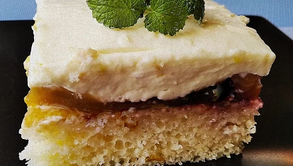 Piškot s meruňkami a tvarohovo - pudinkovým krémem, Piškot s meruňkami a tvarohovo - pudinkovým krémem