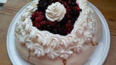 Dort Pavlova
