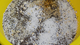 Kokosovo-vločkový pohár