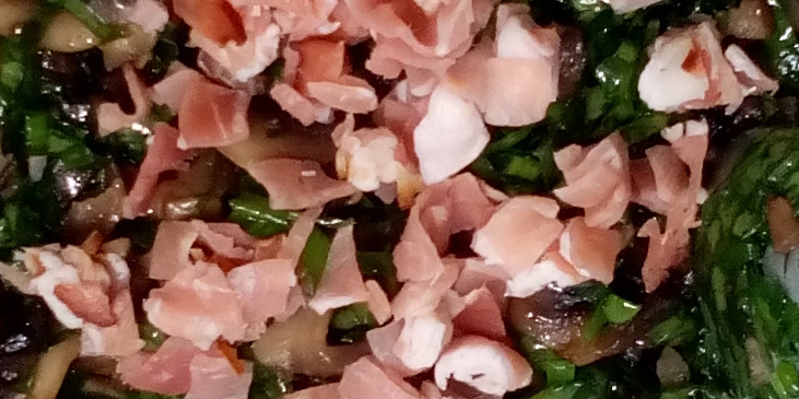 Žampionové placky a zeleninový salát s medvědím česnekem